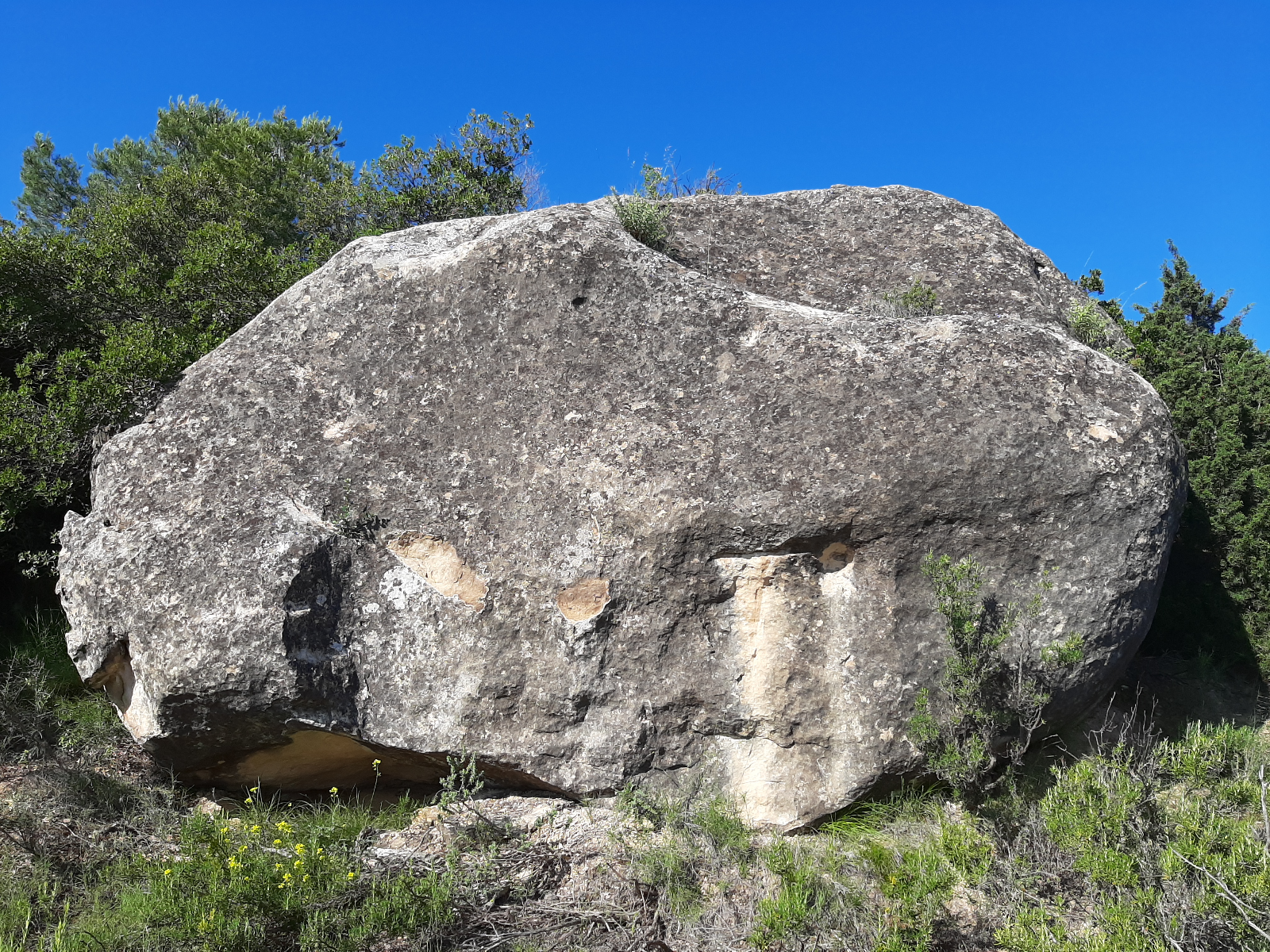 Mano talón