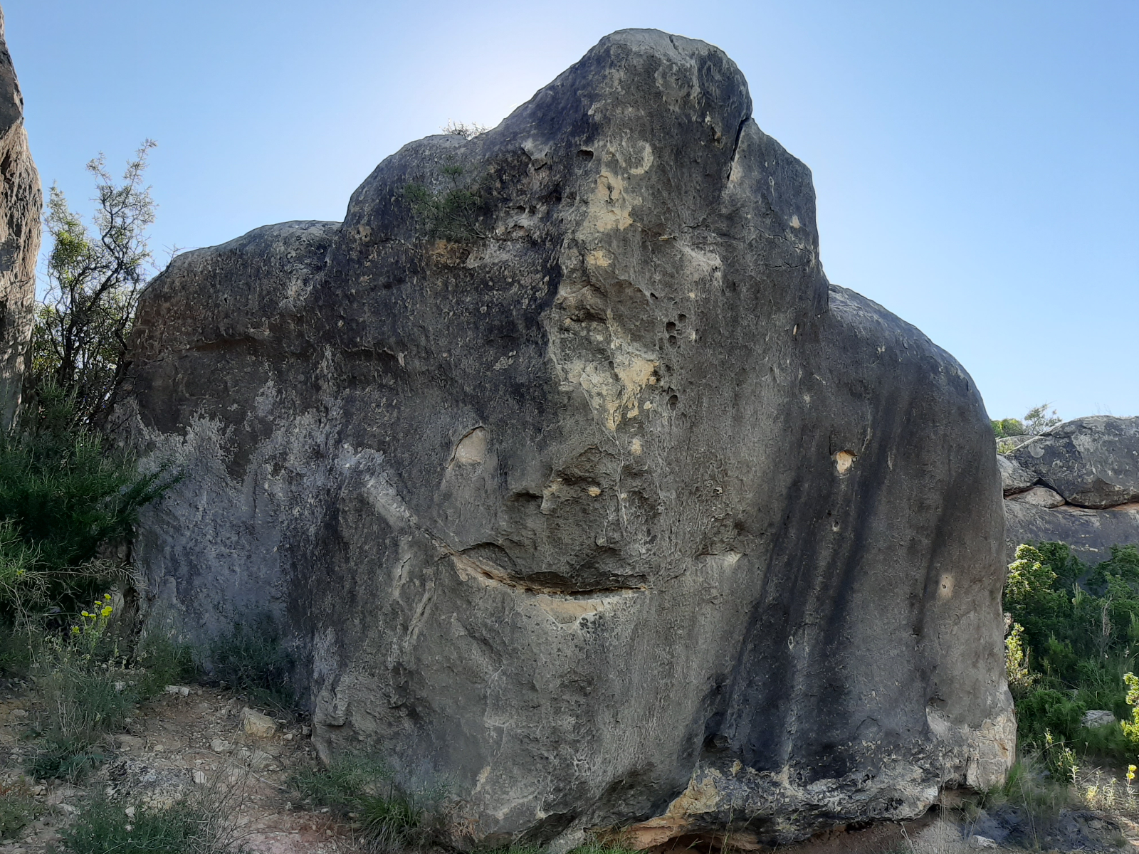 El espolón del ciego