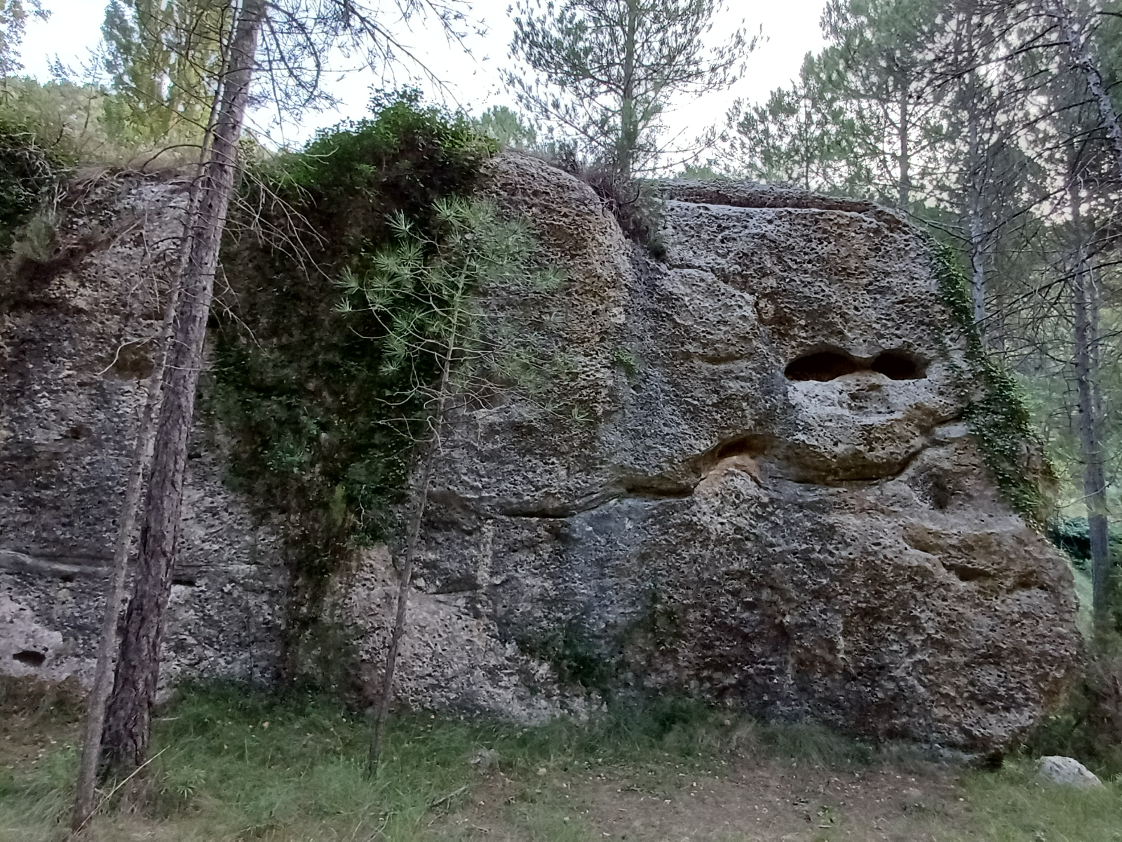 Vista 4 de Chikipark
