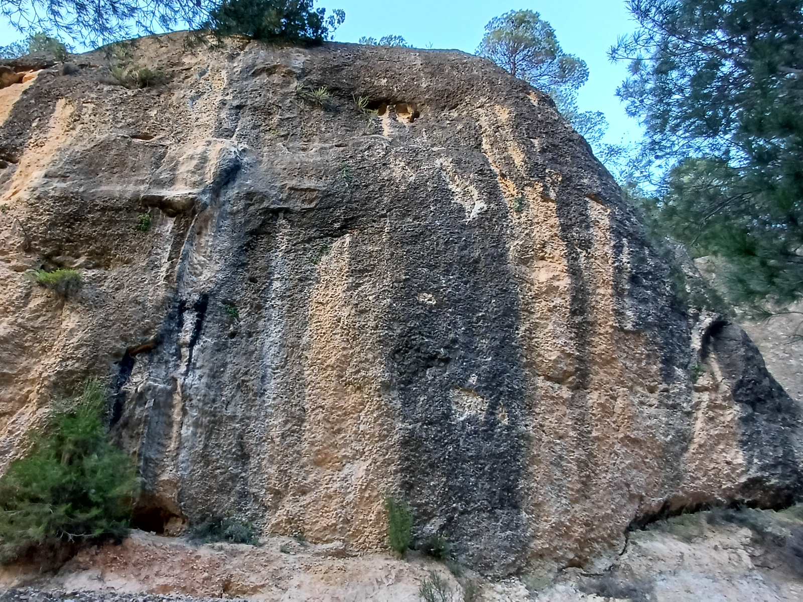 Vista 3 de El camino