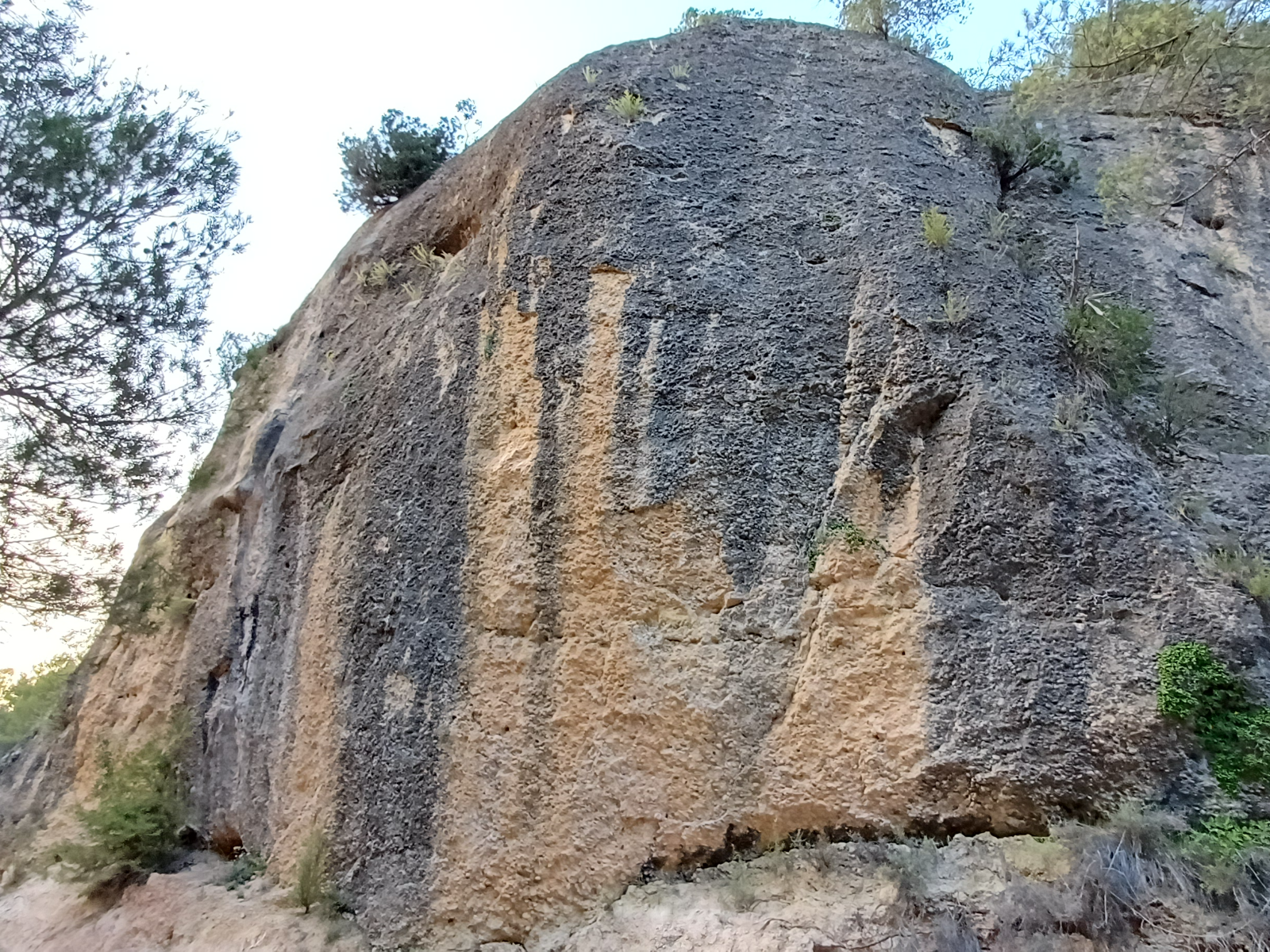 Vista 4 de El camino