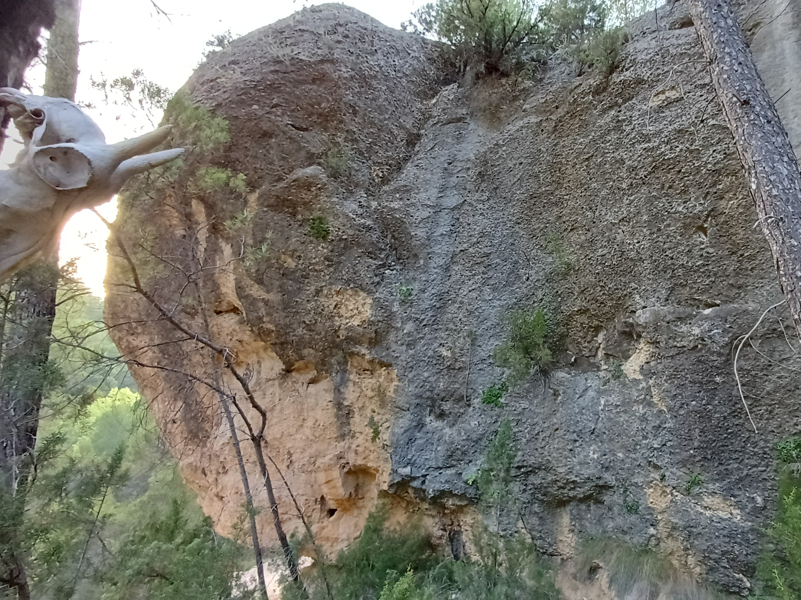 Vista 10 de El camino