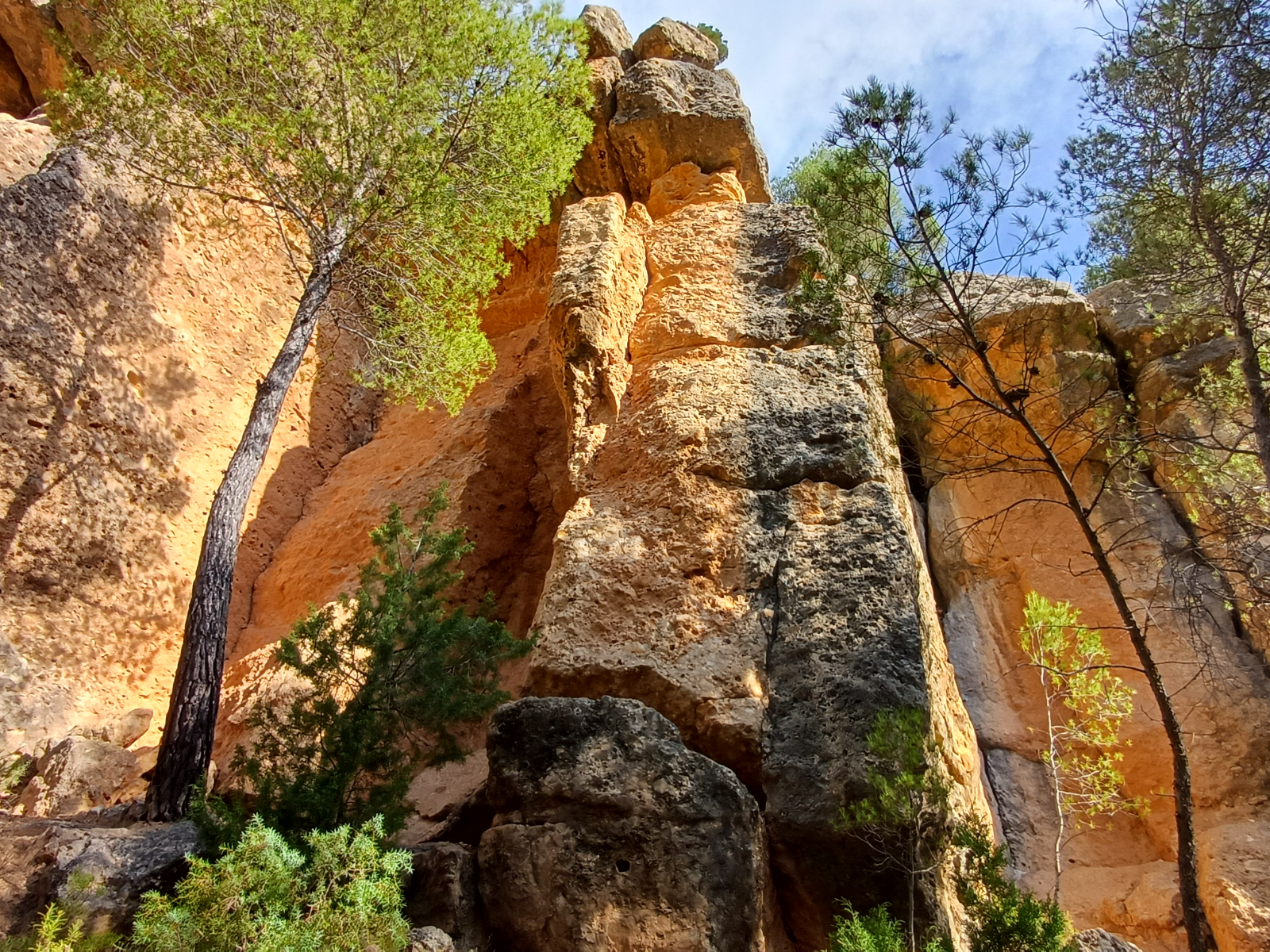 La torre de repisa